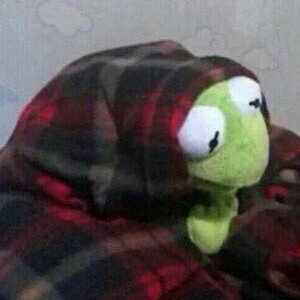 :Kermit_cold: