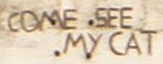 :ComeSeeMyCat: