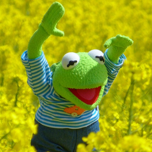 :Kermit_yay:
